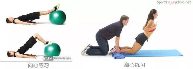 离心训练的独特效益：对肌肉损伤与适应的深度影响