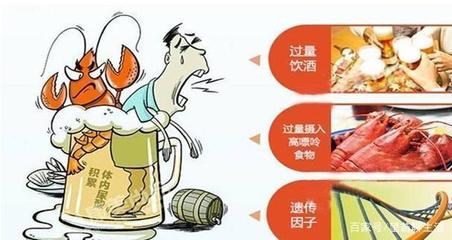 高尿酸血症饮食管理2026：嘌呤新标准与个体化建议