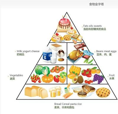 脂肪的2026新认知：饱和、单不饱和、多不饱和脂肪的再平衡
