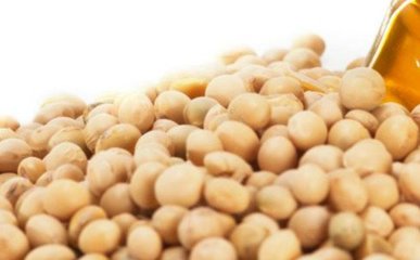 全素食与蛋奶素营养指南(2026)：关键营养素补充方案