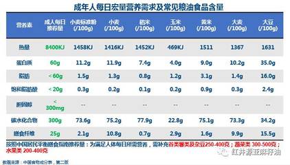宏量营养素2026平衡公式：碳水、蛋白质、脂肪的最佳比例